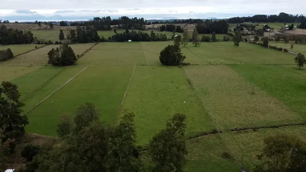 Plot in Futrono, Vista Hermosa - Lago Ranco - Rivers Region - Image 4