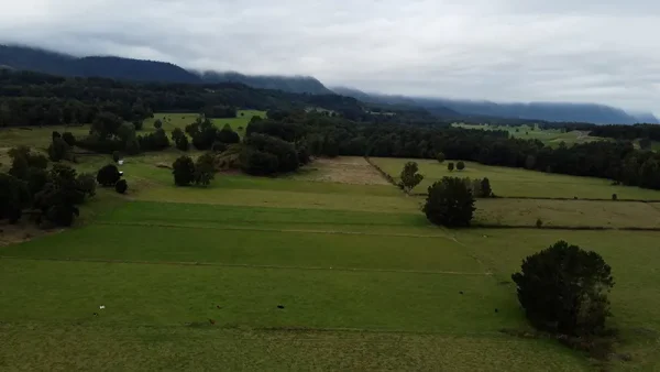 Plot in Futrono, Vista Hermosa - Lago Ranco - Rivers Region - Image 9