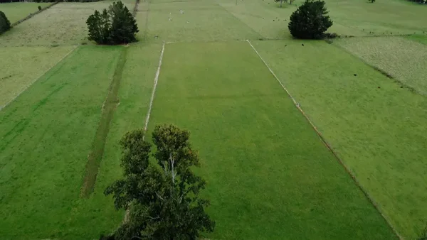 Plot in Futrono, Vista Hermosa - Lago Ranco - Rivers Region - Image 10