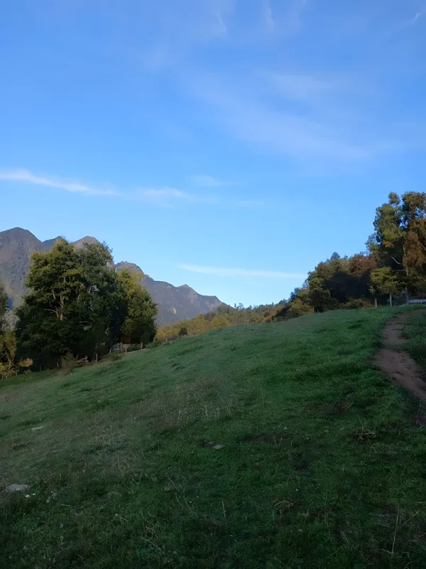 Farm at Maihue Lake, Chabranco Forest - Futrono, Los Ríos Region - Image 11