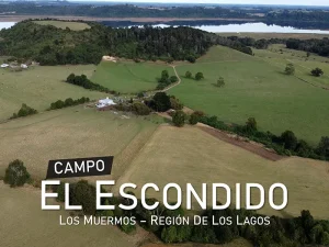 Campo El Escondido