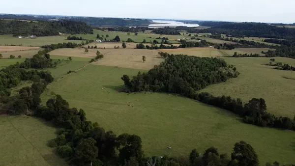 Farm in Los Muermos, El Escondido - Los Lagos Region - Image 2