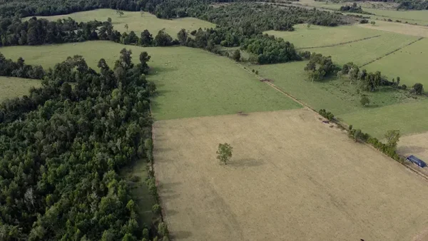 Farm in Los Muermos, El Escondido - Los Lagos Region - Image 11