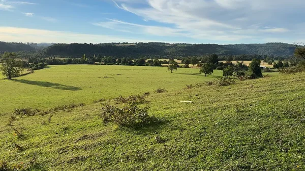 Farm in Los Muermos, El Escondido - Los Lagos Region - Image 12