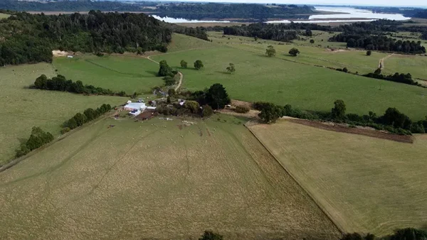 Farm in Los Muermos, El Escondido - Los Lagos Region - Image 3