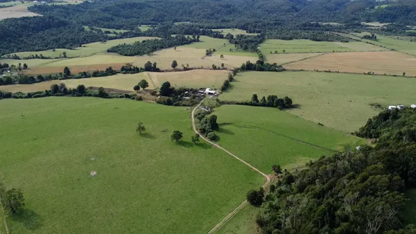 Farm in Los Muermos, El Escondido - Los Lagos Region - Image 6