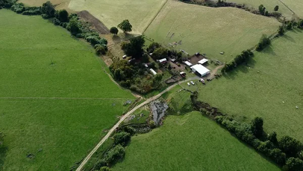 Farm in Los Muermos, El Escondido - Los Lagos Region - Image 7