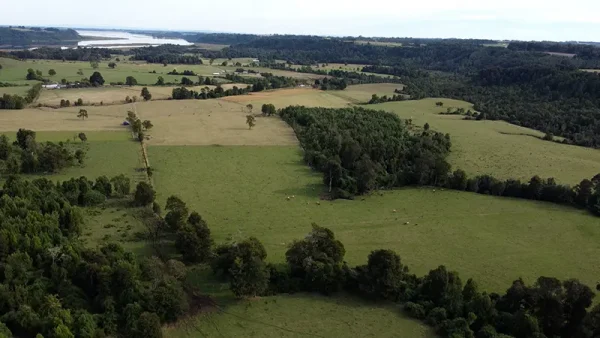 Farm in Los Muermos, El Escondido - Los Lagos Region - Image 8