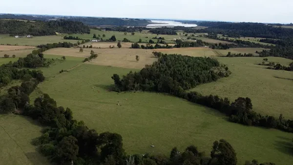 Farm in Los Muermos, El Escondido - Los Lagos Region - Image 9