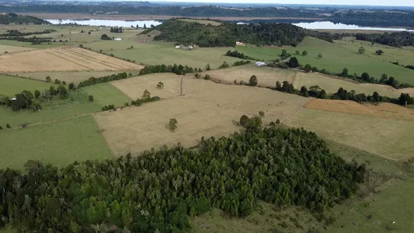 Farm in Los Muermos, El Escondido - Los Lagos Region - Image 10