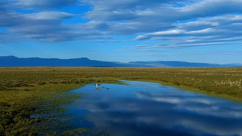 3 derecha patagonia argentina