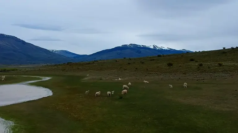 3 izq patagonia argentina