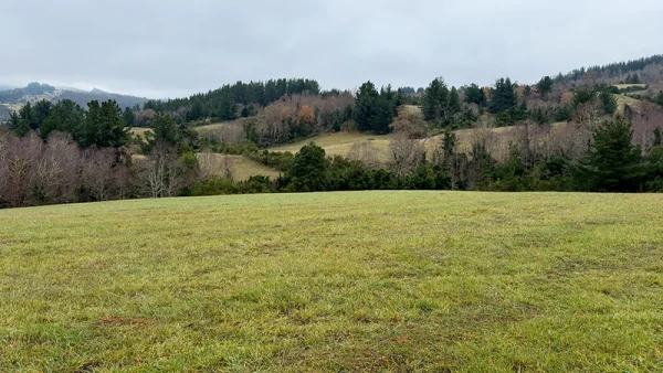 Farm in La Unión, Loncotregua - Los Ríos Region - Image 12