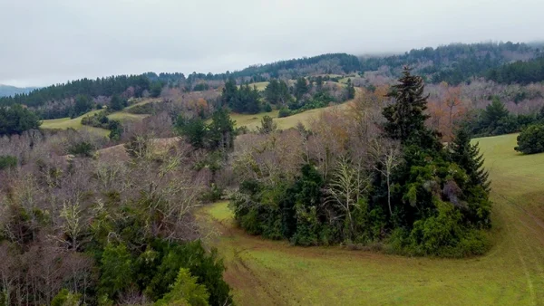 Farm in La Unión, Loncotregua - Los Ríos Region - Image 5
