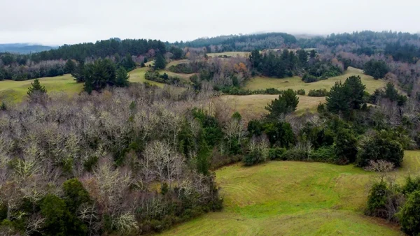 Farm in La Unión, Loncotregua - Los Ríos Region - Image 7