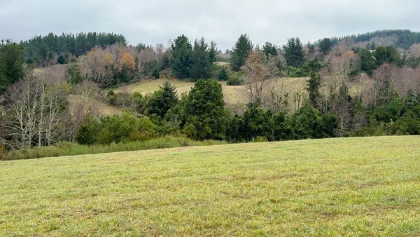 Farm in La Unión, Loncotregua - Los Ríos Region - Image 9
