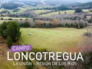 Campo Loncotregua La Unión