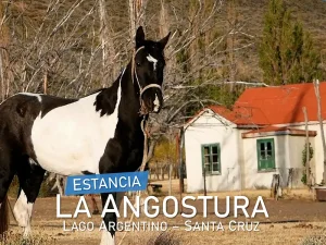Estancia LaAngostura - Lago Argentino, Santa Cruz