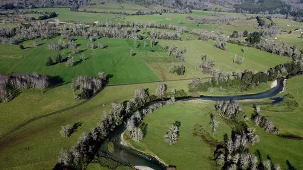 Field in Purranque, Camarones - Lakes Region - Image 2