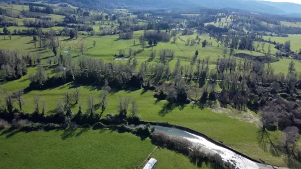 Field in Purranque, Camarones - Lakes Region - Image 4