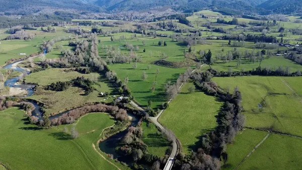 Field in Purranque, Camarones - Lakes Region - Image 5