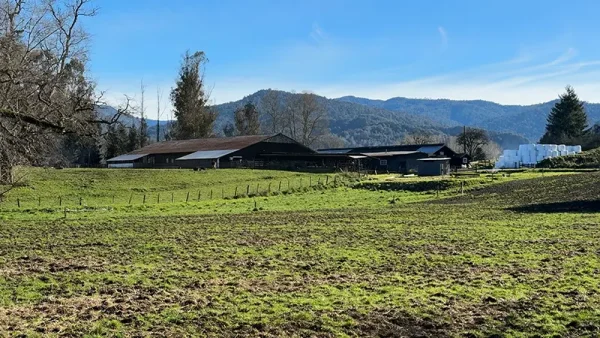 Field in Purranque, Camarones - Lakes Region - Image 6