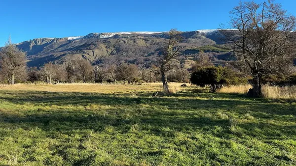 Lote Río Norte (7)
