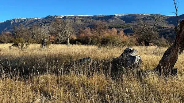 Lote Río Norte (9)