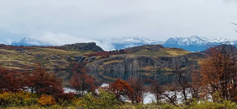 laguna sofia 1
