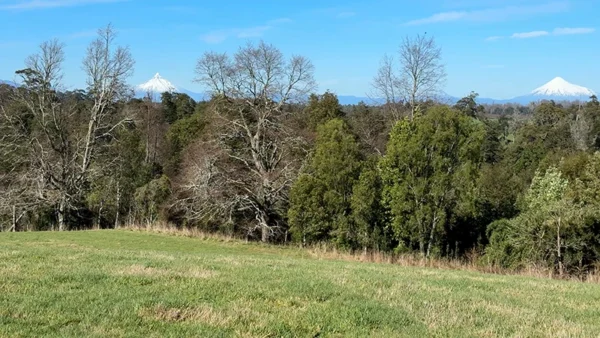 Campito El Boquial (2)