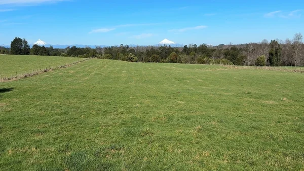 Campito El Boquial (3)
