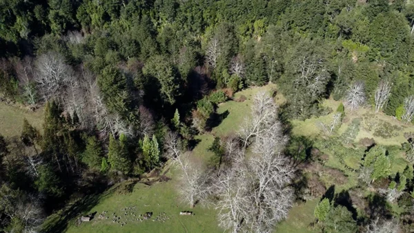 Campito El Boquial (5)