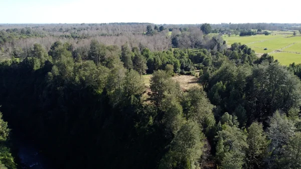 Campito El Boquial (6)