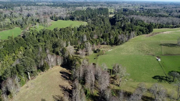 Campito El Boquial (7)