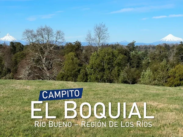 Campito en venta El Boquial Río Bueno