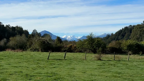 Parcela Chamiza (4)