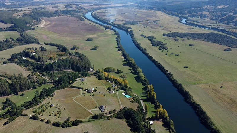 RIO BUENO 2