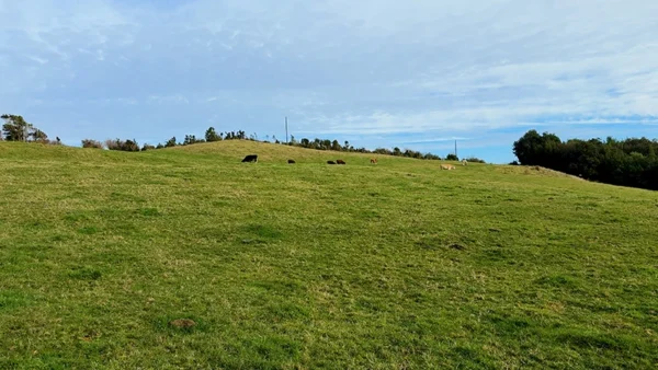Campo Bautista (8)