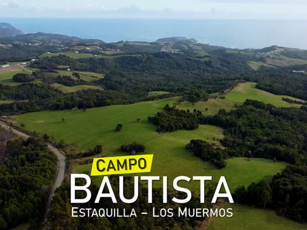 Campo Bautista Estaquilla