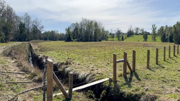 Campo en Paillaco Ralitrán (10)
