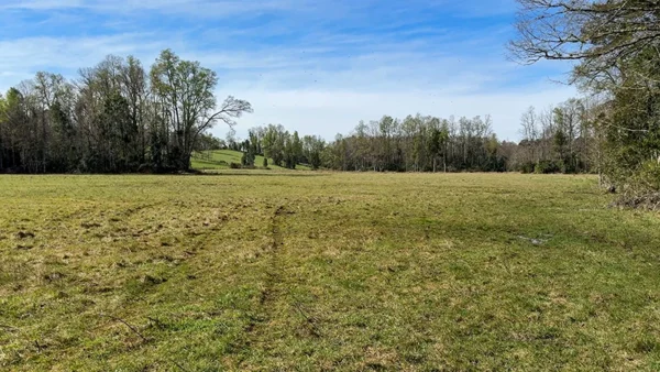 Campo en Paillaco Ralitrán (11)