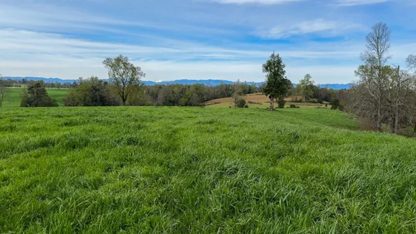 Campo en Paillaco Ralitrán (4)