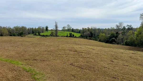 Campo en Paillaco Ralitrán (5)