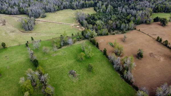 Campo en Paillaco Ralitrán (7)
