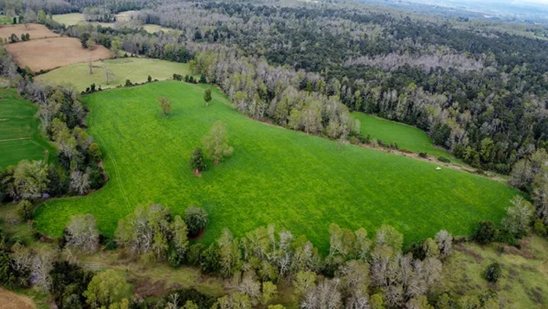 Campo en Paillaco Ralitrán (9)