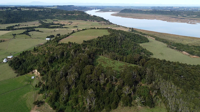 Cómo comprar un terreno rural en el sur de chile