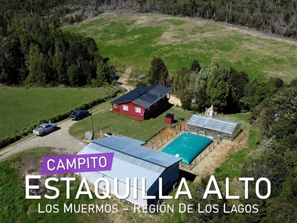 Campito Estaquilla Alto Los Muermos