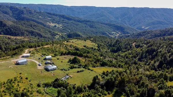 Campo Yerbas Buenas (1)