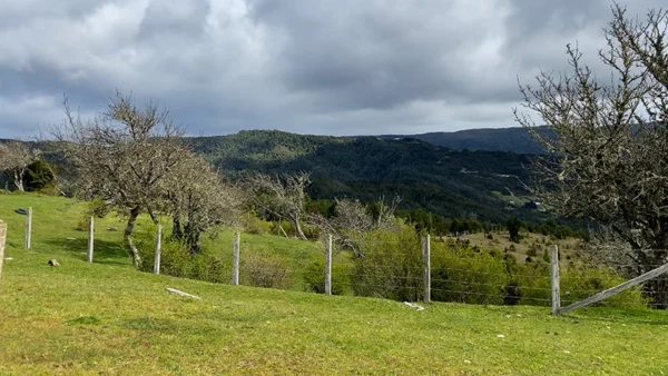 Campo Yerbas Buenas (10)