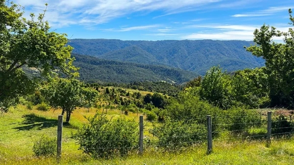 Campo Yerbas Buenas (11)
